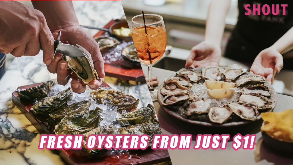 WHERE TO GET FRESH OYSTERS IN SINGAPORE FROM JUST 1! Shout