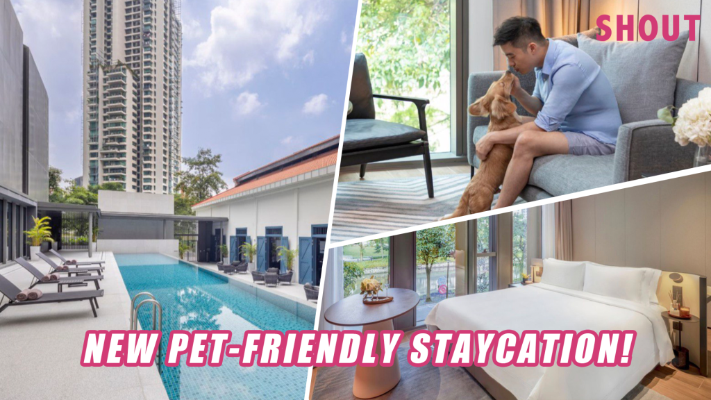 Luxury Apartments With Private Parking And Private Outdoor Butler Service preview