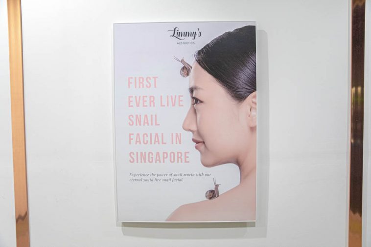 I Tried a Live Snail Facial For the First Time, Here’s How it Went Shout