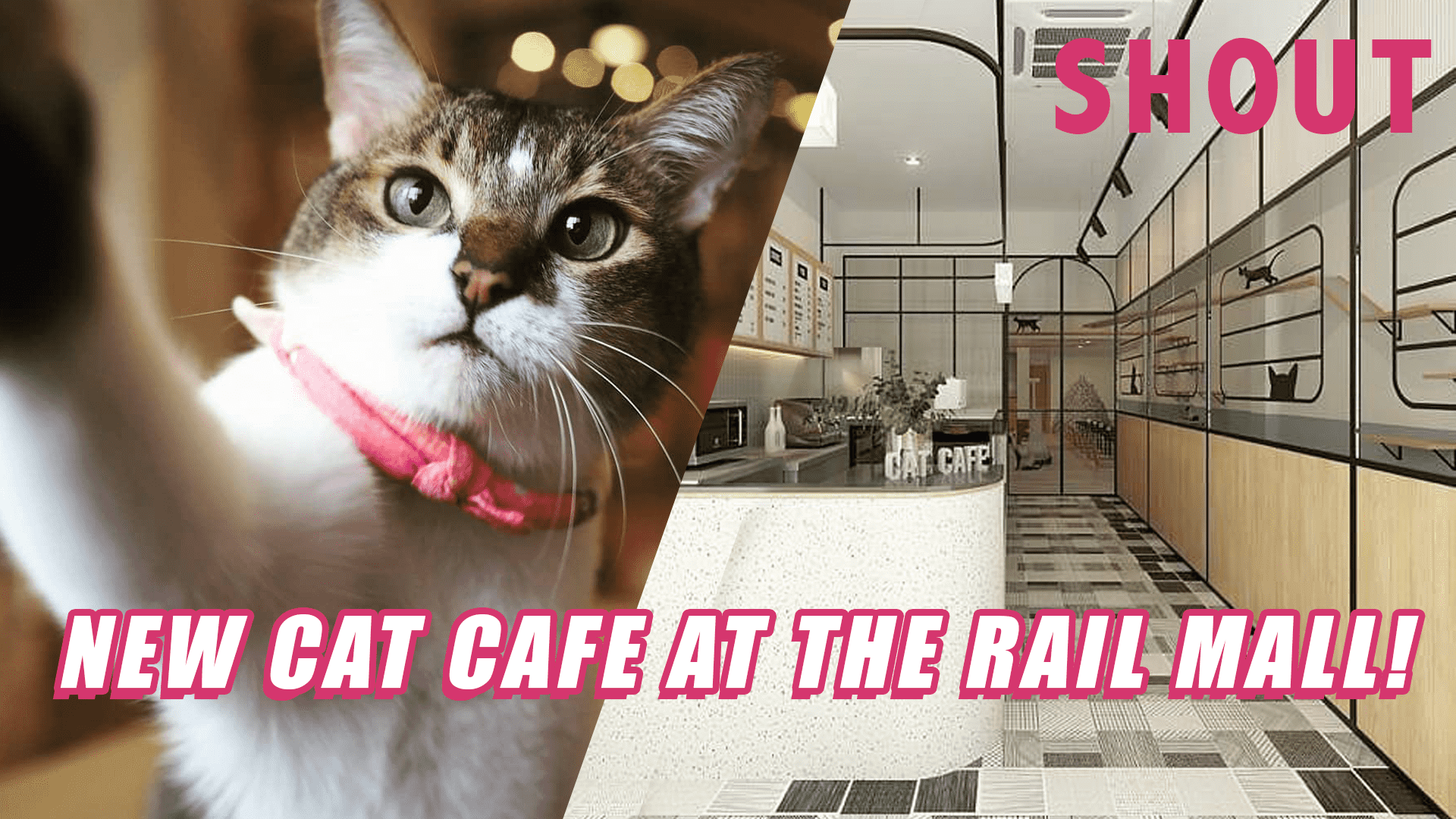 New Cats  Caf  At The Rail Mall Bukit Timah Houses 11 