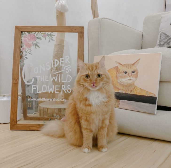 SINGAPORE'S FIRST ART JAMMING WITH CATS FOR JUST 40 WITH A FREE DRINK