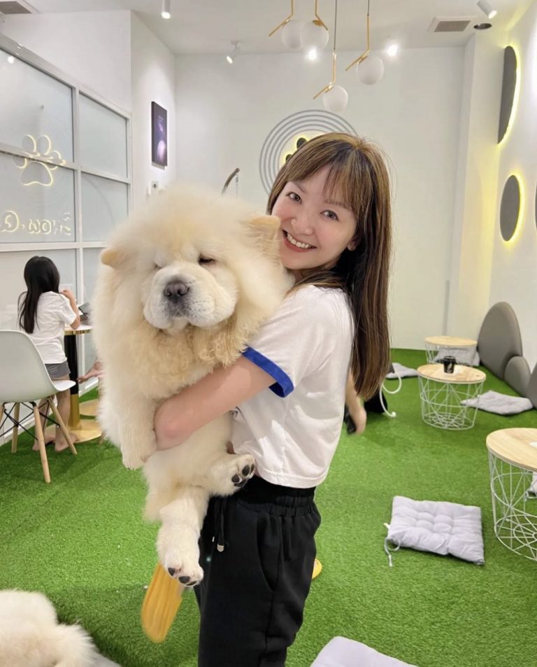 THIS DOG CAFÉ IN JOHOR BAHRU IS 20 MINUTES AWAY FROM THE CHECKPOINT