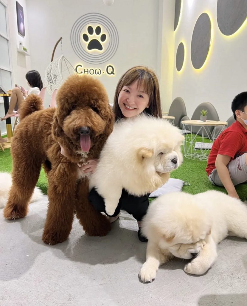 THIS DOG CAFÉ IN JOHOR BAHRU IS 20 MINUTES AWAY FROM THE CHECKPOINT & HAS NO ENTRANCE FEES! Shout