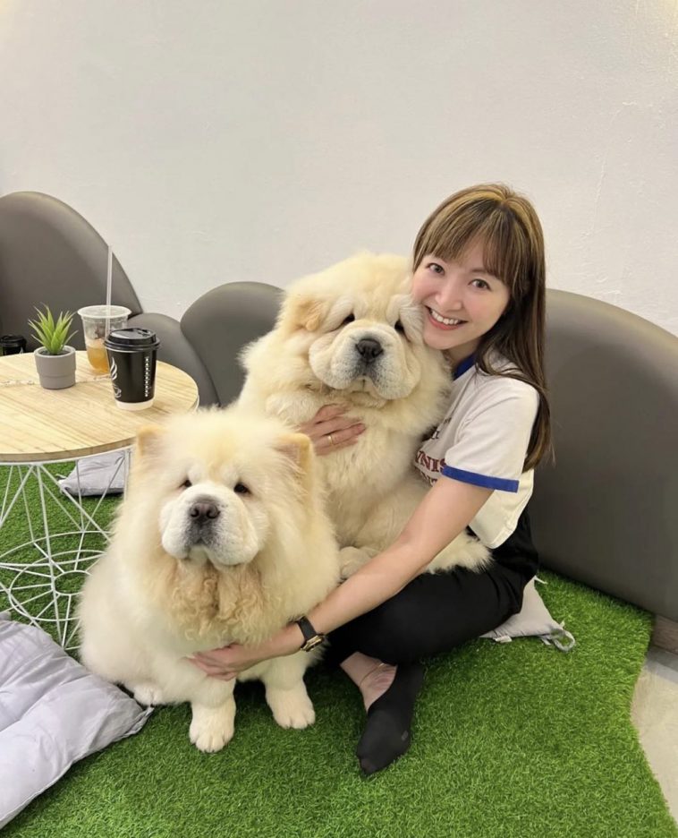 THIS DOG CAFÉ IN JOHOR BAHRU IS 20 MINUTES AWAY FROM THE CHECKPOINT & HAS NO ENTRANCE FEES! Shout