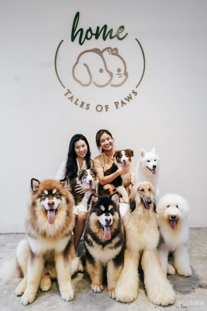 THIS 2STOREY DOG & CAT CAFÉ IN JOHOR BAHRU HAS OVER 10 UNIQUE BREEDS