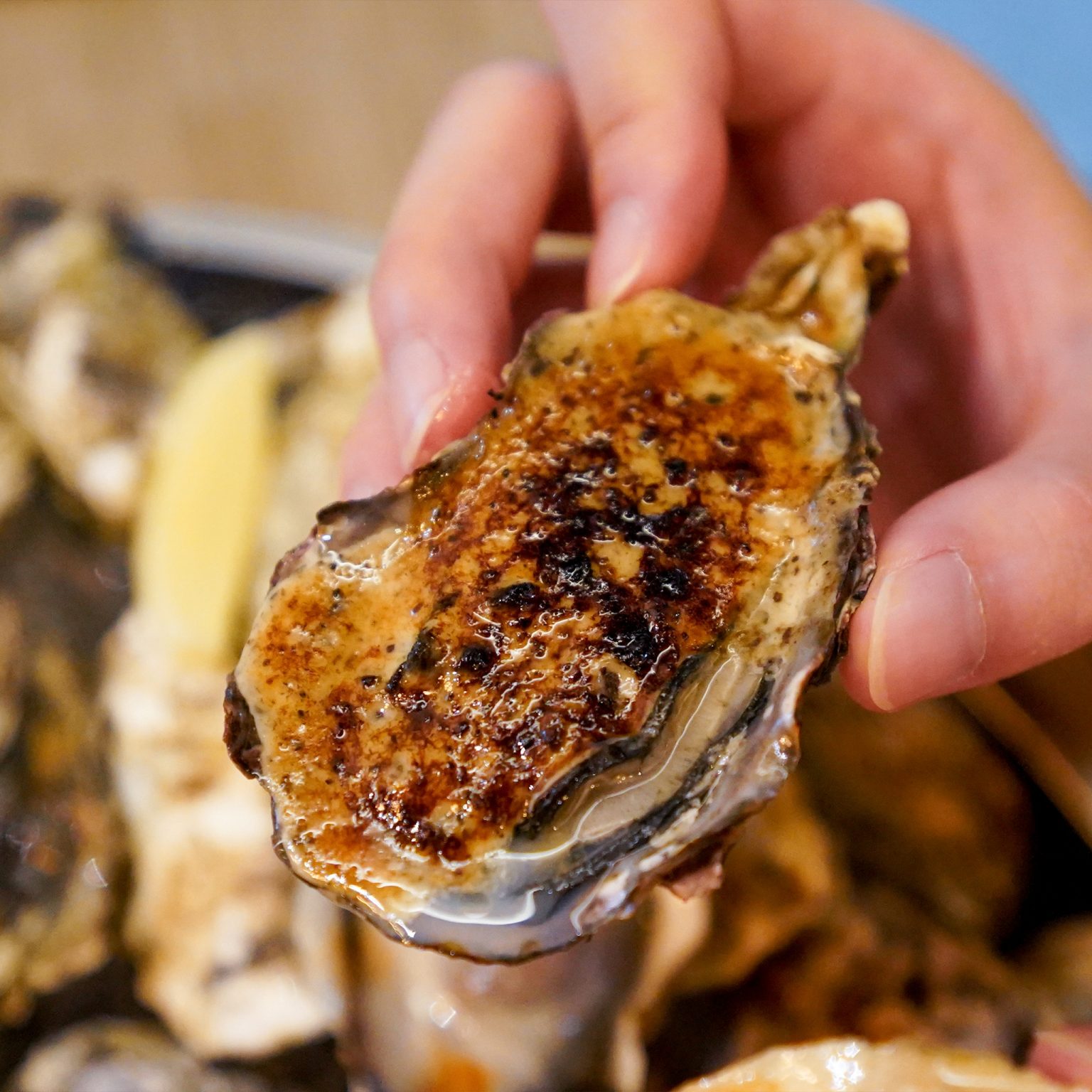 UNLIMITED OYSTER BUFFET WITH TORCHED MENTAIKO & TRUFFLE SAUCE AT 42