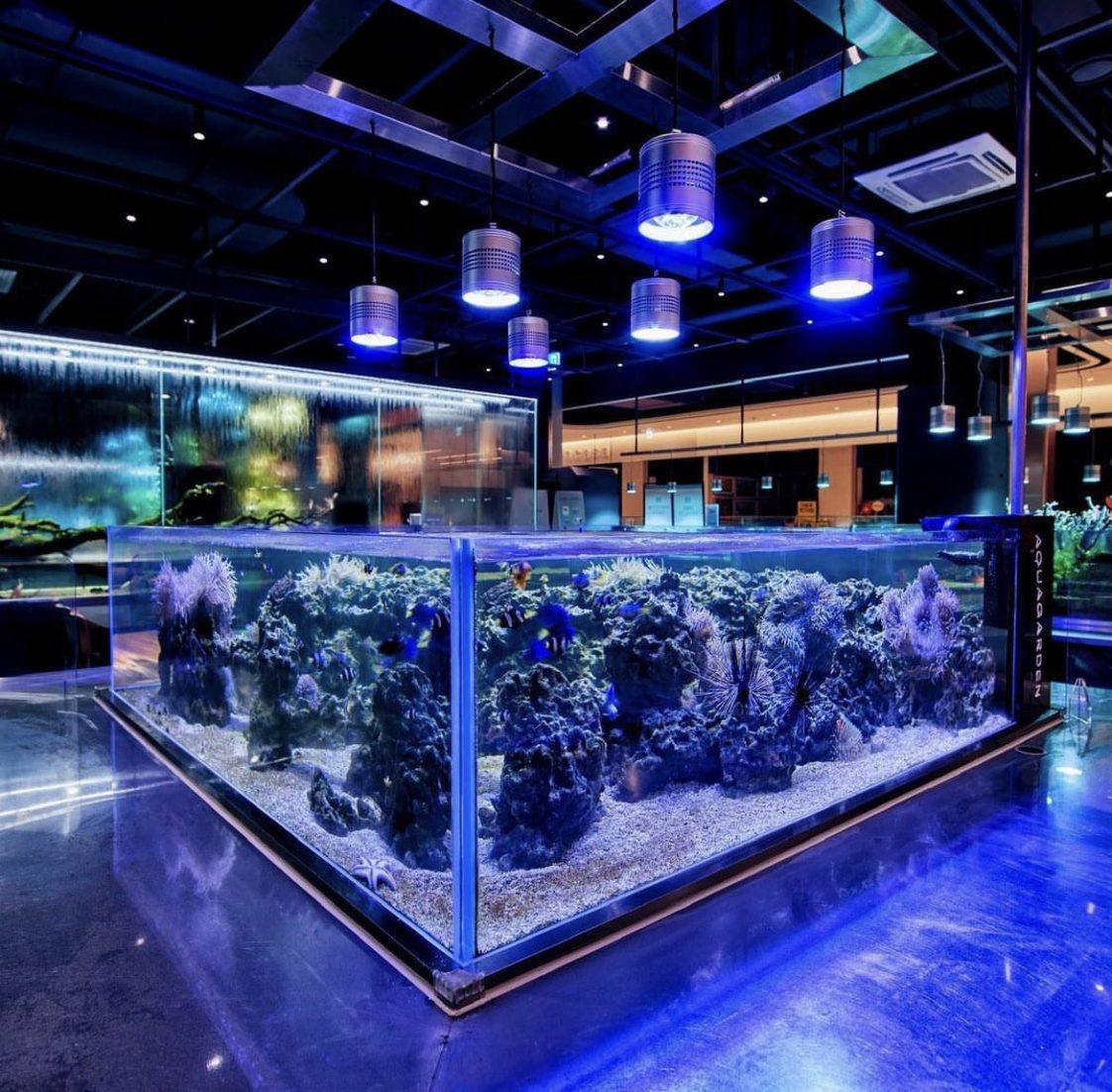 AQUA GARDEN MAGICAL CAFÉ IN KOREA LETS YOU DINE “UNDERWATER” IN AN