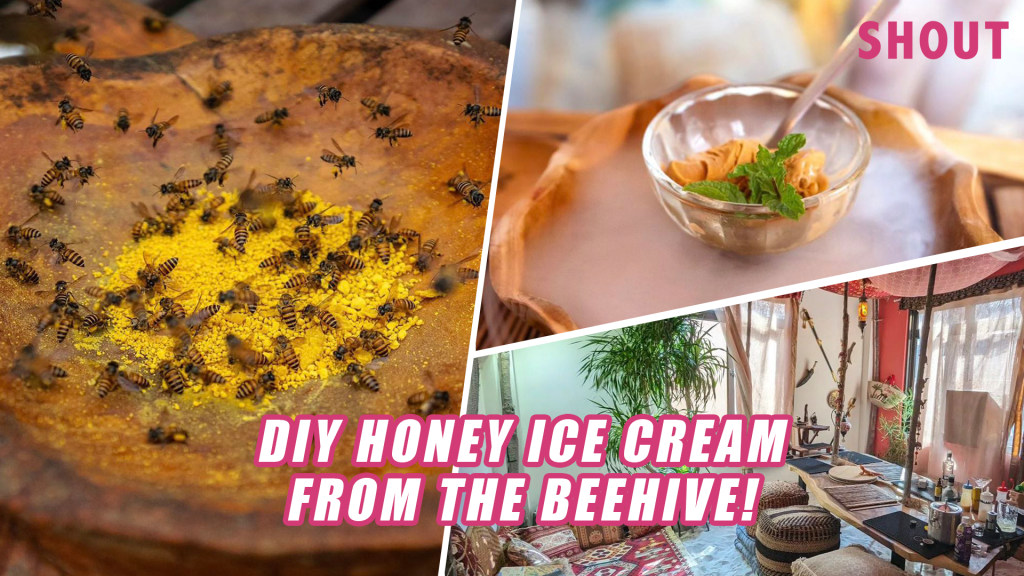 MAKE YOUR OWN HONEY ICE CREAM & HARVEST HONEY STRAIGHT FROM BEES AT